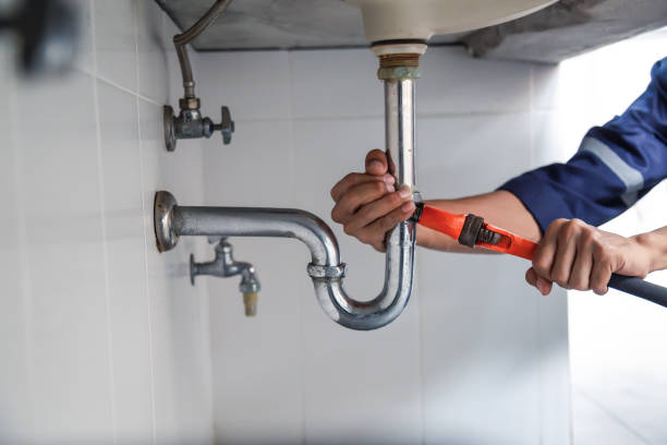 Best Commercial Plumbing Services  in Donna, TX