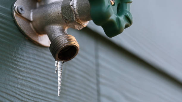 Best Water Heater Repair  in Donna, TX